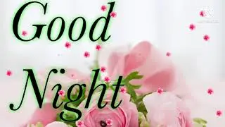 Download good night flower images photos for WhatsApp status, good night video with music 2021