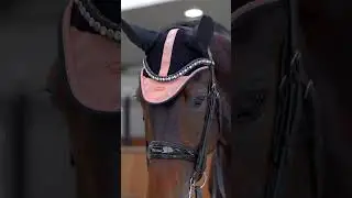 #dressage Rose Gold #saddlepad 🤩 #dressagecompetition #pferd #equestriancompetition #pferdesport