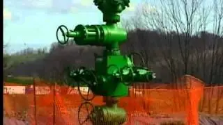 Toxic Brine