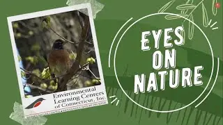 Eyes on Nature - Tips and Tricks to Winter Animal Tracking