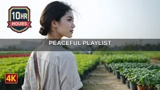 Immersive Crew Recreation Deck | Lofi Music | 10 Hours of Lo-Fi Study Beats