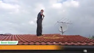 Moss and Lichen Treatment by Accredited Roofing
