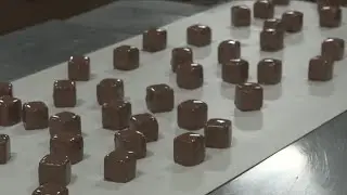 Fowler's & Feedmore WNY Celebrate National Sponge Candy Day