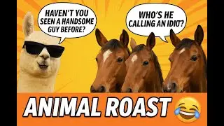 😂 Alpaca Roasts Horses in the Funniest Way! | Animal Roast -Animal Voiceover Comedy 11