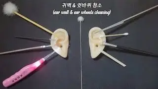 ASMR ] 귓바퀴& 귀벽청소 (노토킹)_  ear wall & ear wheels cleaning (no talking)_  鬼壁&耳介 清掃