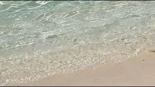 Cruise ship🛳Live broadcast