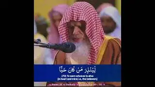 Beautiful Quran Recitation by Sheikh Ali Al Hudhaify | #shorts