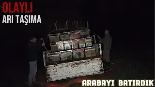 Mobile beekeeping, Arılarımızı taşıdık OLAYLI GECE #beekeeping #bee #arıcılık #gezginci arıcılık