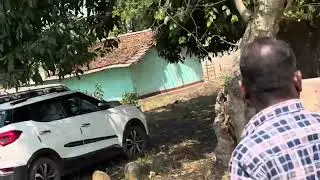 Munda Marriage starts as marriage with  Mango tree of bride groom