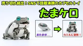 【売り切れ続出】SNSで話題になっているカプセルトイ「たまケロ」をレビューします