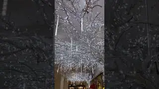 FANTASTIC CEILING LIGHT DECORATION