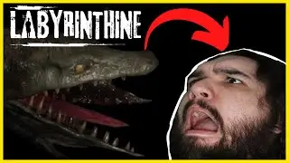 Swamps, Crocs, and Nightmare Dogs. We HATE this place!