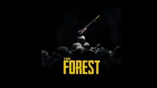 The Forest camcorder tape locations and review