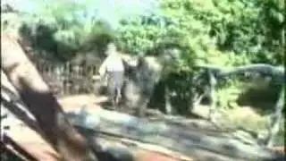 Walt Disney's Song Of The South  Part 4