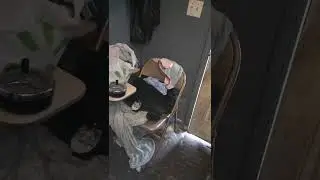 Hoarding Cleanup entryway