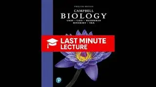 Обзор развития животных | Глава 47 &ndash; Биология Кэмпбелла (12-я) (пересмотренная)
