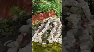 100,000 GALLON NATURAL POND DRONE SHOTS!!!
