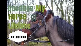 goodbye my horse of a lifetime| Abi Equestrian