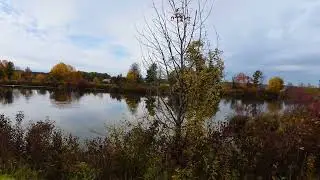4K Canal Walk to Swan Lake - Relaxing Autumn Nature & Meditation. Peaceful Virtual Treadmill Stroll