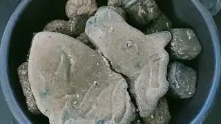 Gym Chalk Reforms Crushing ASMR PowderPuff 