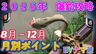 2025年を振り返り🎍月別攻略8月～12月（下半期）ナマズ攻略😁