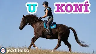 PODZIMNÍ DEN U KONÍ | péče o koně a ježdění // VLOG
