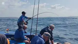Excellent day out