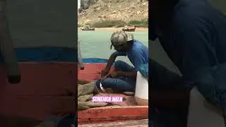 Sunehra nala! #shortvideo