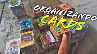 ORGANIZANDO MINHAS CARDS UMA POR UMA