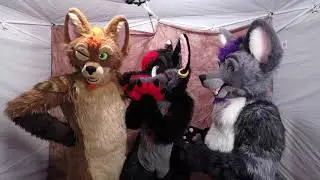 Suit Up - Foxes and Peppers (Official Video)