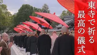 誰も知らない冬の京都へ　赤い傘の行列　梅と桜とサザンカと