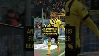 🥹 Ein ganz besonderer G&Auml;NSEHAUT-Moment&hellip; 💛