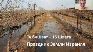 Ту биШват - праздник Земли Израиля