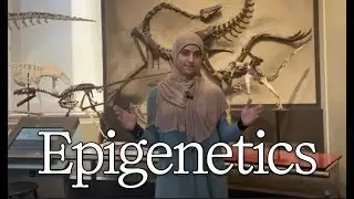 Breakthrough Junior Challenge 2025 || Epigenetics: A Hidden Story of Evolution