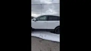 Bruce Honda