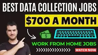Best Data Collection Jobs For Beginners - Remote Work From Home Jobs