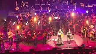 Cat Empire Perth Concert Hall 5 Dec 2024