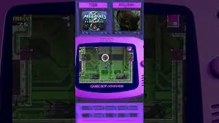 Metroid Fusion Randomizer - TSDN shorts