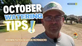 October Lawn Care Tips for North Texas