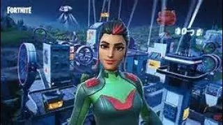 Fortnite Duos & 90 Fortbyte Skin