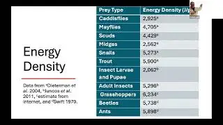 Terrestrial Insects with Jason Freund: 2025 TCTU May Chapter Meeting