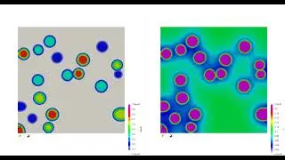 Multivariant Diffusion-Controlled Precipitate Evolution (Phase Field Model)