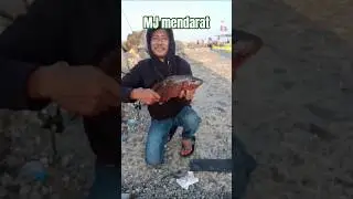 Mancing Dam Merah Pelabuhan Tanjung Priok #mancingdammerahtanjungpriok #mancingdamijo #mancingmania