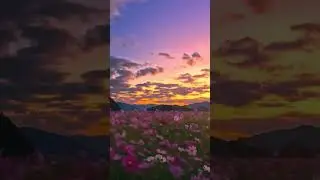 Breathtaking Sunset Over Mountains & Fields 🌄Music#Scenery#nature#beautiful#Relaxation #natureview