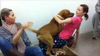 Peanut's Story