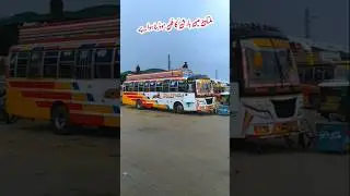 Multan Lari Ada Bus Stand Video #pkdrivers #buscompany #bushornprice