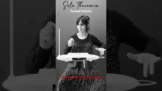 Solo Theremin (9): #theremini (flutterfly) #theremin #solo #moog #electronicmusic #ghost #retro