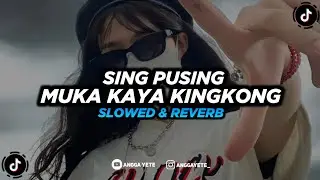 DJ Sing Pusing Muka Kaya Kingkong - Slowed + Reverb 🎧