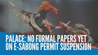 Palace: No formal papers yet on e-sabong permit suspension