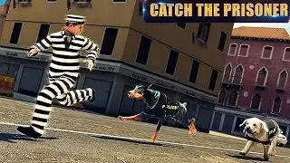 Police Dog 3D Crime Chase (by Tapinator Inc) Android Gameplay [HD]